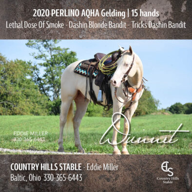 Positively Dunit, 2020 Perlino AQHA Gelding