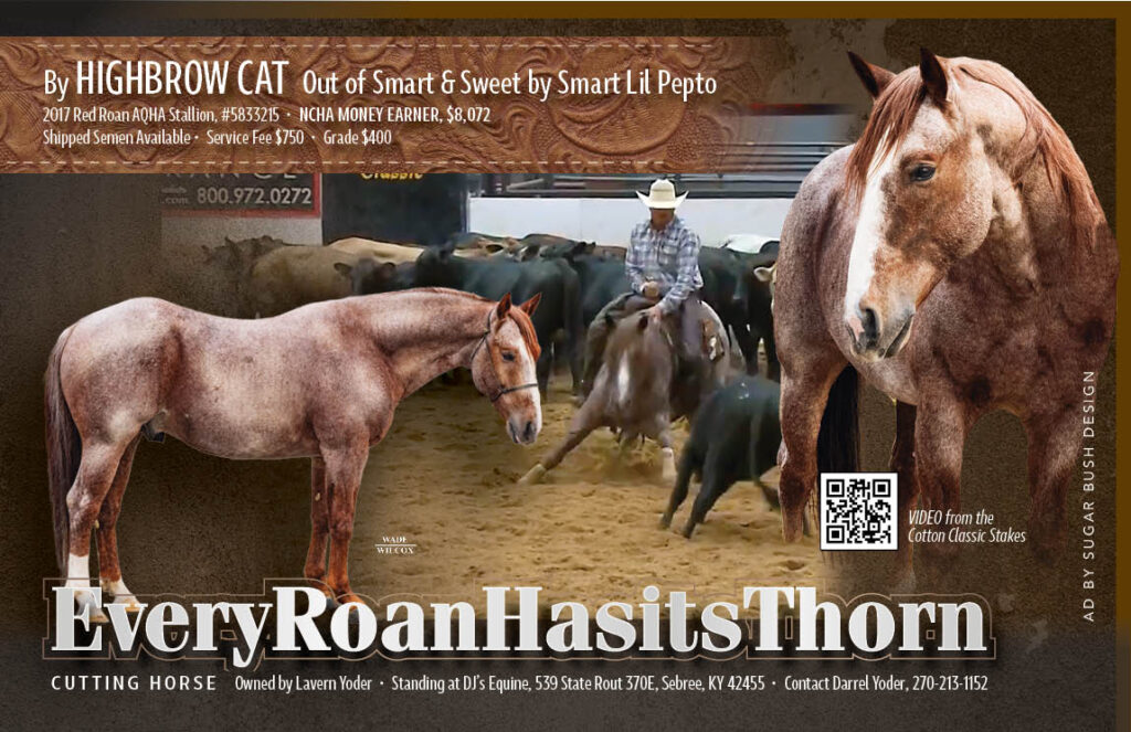 Everyroanhasitsthorn - AQHA Stallion by Highbrow Cat