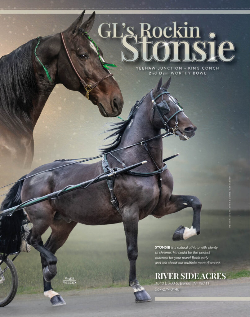 GL's Rockin Stonsie, Standardbred Stallion YEEHAW JUNCTION - KING CONCH