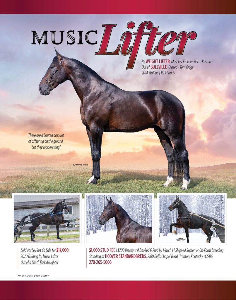 Music Lifter, 2014 Standardbred Stallion