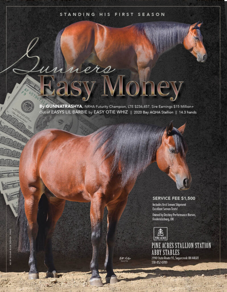 Gunners Easy Money - AQHA Stallion by Gunnatrashya