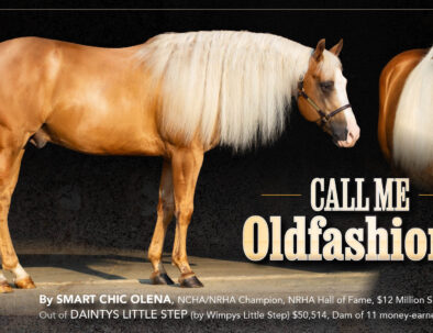 Palomino AQHA Stallion by Smart Chic Olena