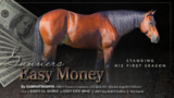 Gunners Easy Money - 2020 stallion by Gunnatrashya