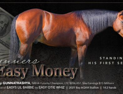 Gunners Easy Money - 2020 stallion by Gunnatrashya