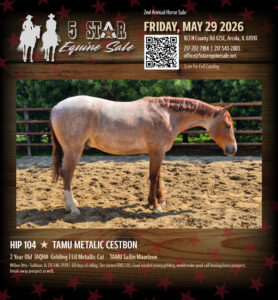 5 Star Equine Auction 2026