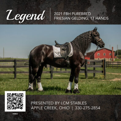 Legend, 2021 FBH registered Friesian Gelding